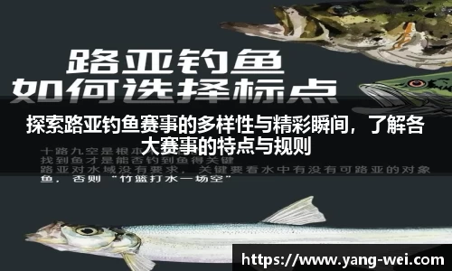 竞技宝APP