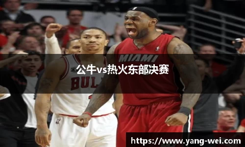 公牛vs热火东部决赛