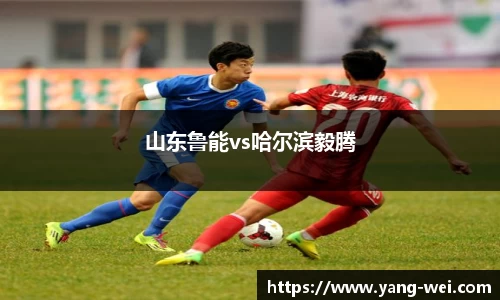山东鲁能vs哈尔滨毅腾