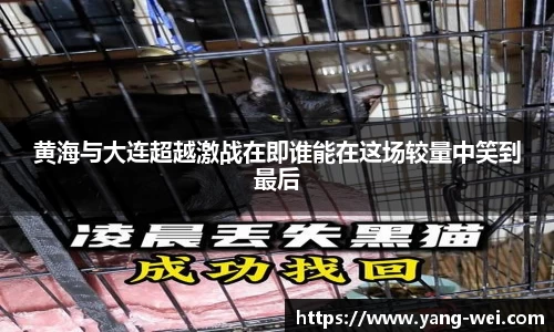 竞技宝APP