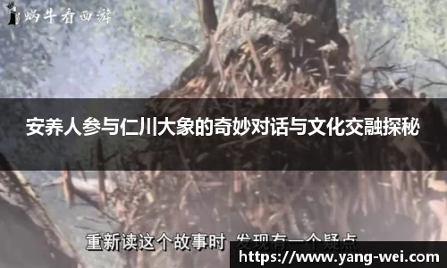 安养人参与仁川大象的奇妙对话与文化交融探秘